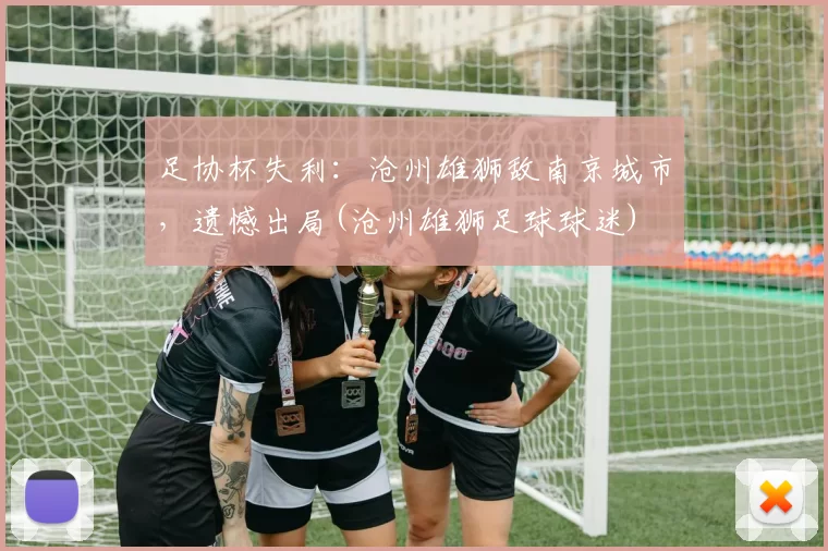 足协杯失利：沧州雄狮敌南京城市，遗憾出局(沧州雄狮足球球迷)