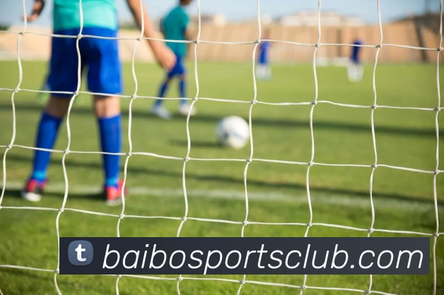 百博体育俱乐部服务体系